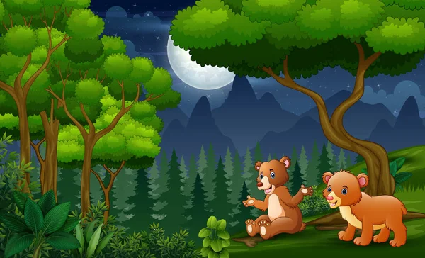 Мультфильм Медведице Ребенком Наслаждающейся Ночью — стоковый вектор