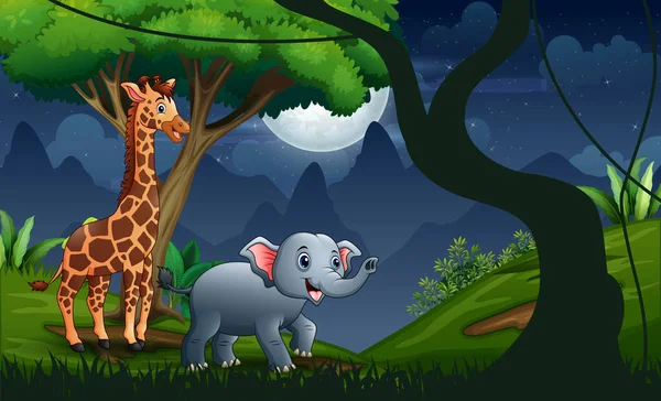 Giraffe Und Elefant Der Nacht Des Waldes — Stockvektor