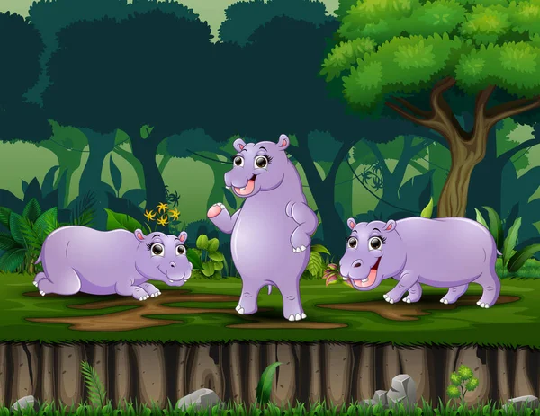 Cartoon Drie Nijlpaard Spelen Het Nachtbos — Stockvector