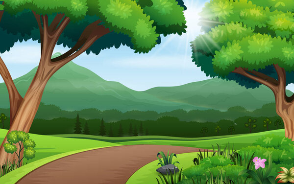 Nature background with path road and trees