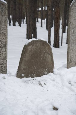 Antik mezar Moğol savaşçı.