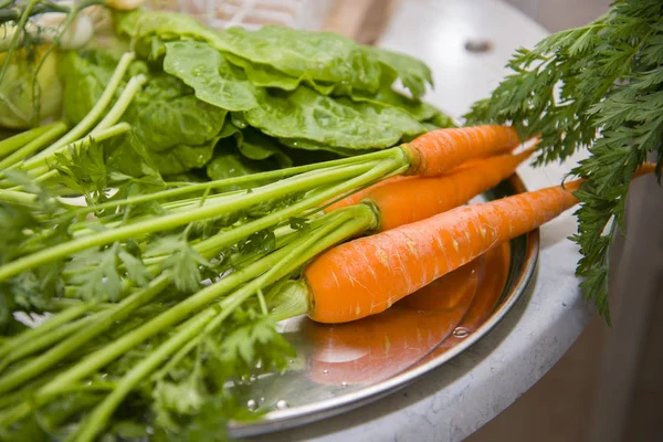 Le verdure pulite e umide si trovano su un piatto . — Foto Stock