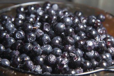 Vahşi orman berry yaban mersini masada olduğunu.