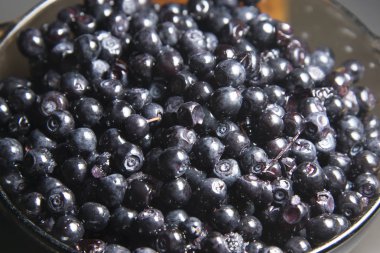 Vahşi orman berry yaban mersini masada olduğunu.