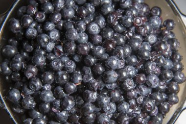 Vahşi orman berry yaban mersini masada olduğunu.