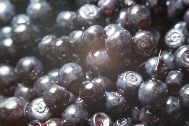 Vahşi orman berry yaban mersini masada olduğunu.