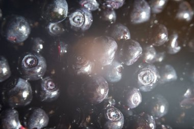 Vahşi orman berry yaban mersini masada olduğunu.