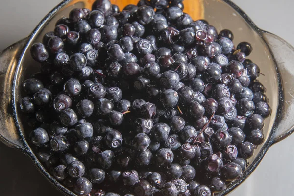 Wild forest berry blueberries is on the table. — Stock Photo, Image
