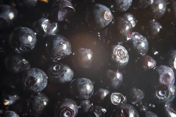 Wild forest berry blueberries is on the table.
