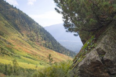 Khamar-Daban vahşi ve ıssız dağlar.