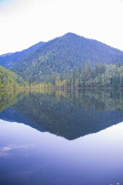 Orman Gölü su ayna olarak düzgün.