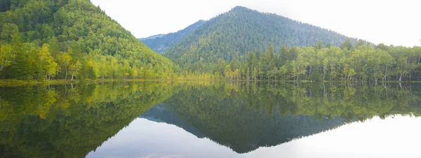 Skogssjö som är smidig som en spegel av vatten. — Stockfoto