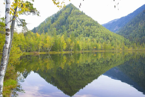 Skogssjö som är smidig som en spegel av vatten. — Stockfoto