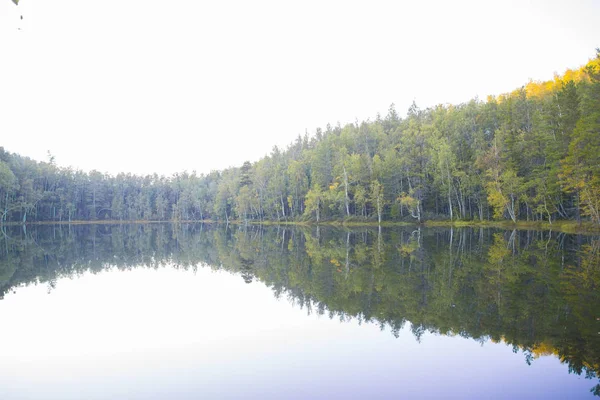 Forest lake glad als een spiegel van water. — Stockfoto