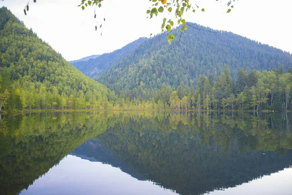 Skogssjö som är smidig som en spegel av vatten. — Stockfoto