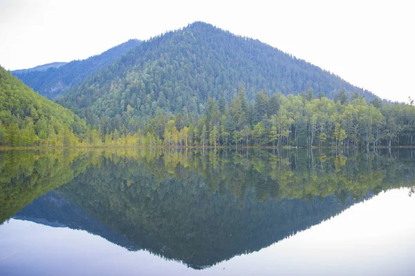 Skogssjö som är smidig som en spegel av vatten. — Stockfoto