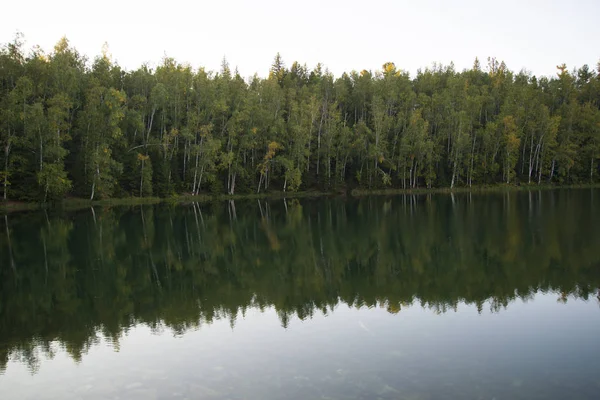 Lago del bosque liso como un espejo de agua . — Foto de Stock