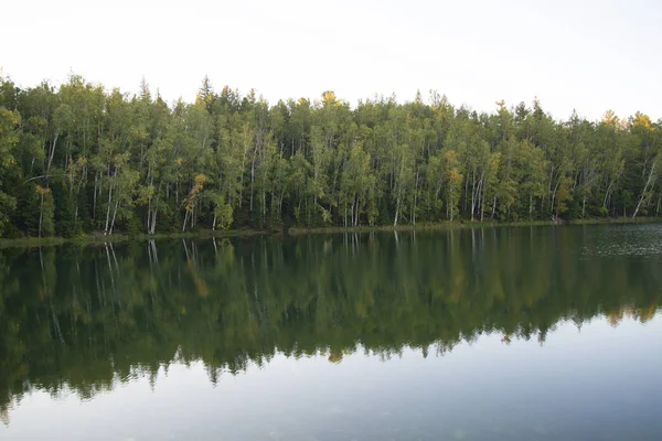 Lago del bosque liso como un espejo de agua . — Foto de Stock