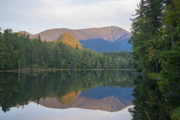 Lesní jezero hladká jako zrcadlo vody. — Stock fotografie
