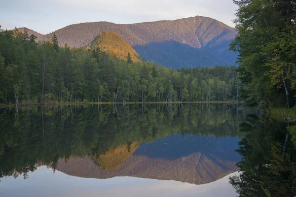 Skogssjö som är smidig som en spegel av vatten. — Stockfoto