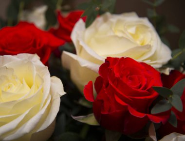 Güzel hediye buket bir Doğum günü için.