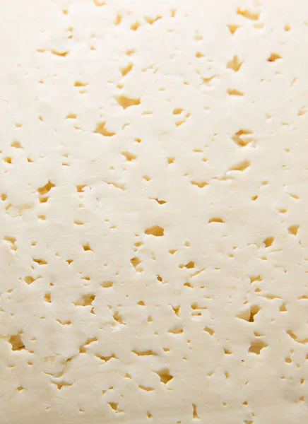Il formaggio cremoso è prodotto con il miglior latte . — Foto Stock