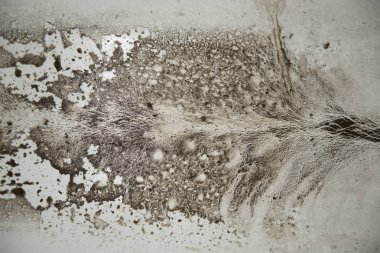 Çok eski bir hamam çamura ağacı gibi.