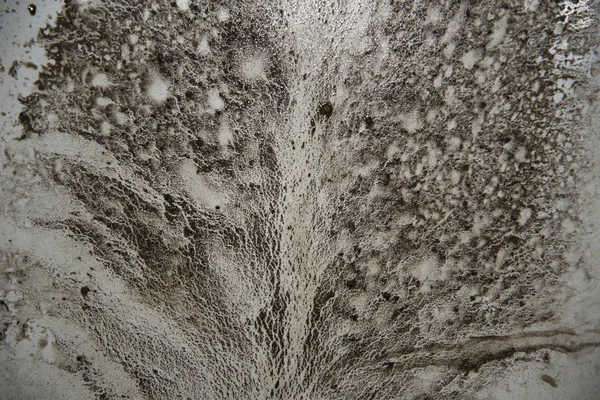 Çok eski bir hamam çamura ağacı gibi.