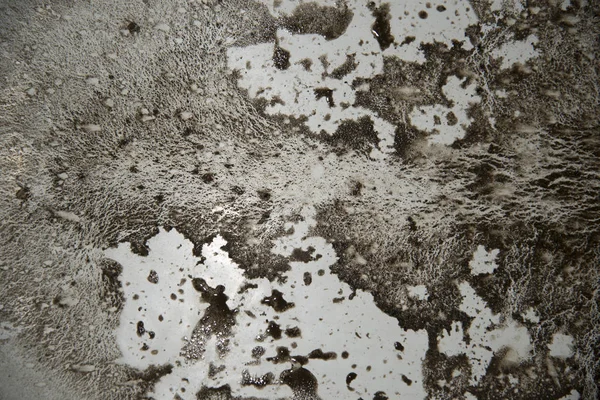 Schmutz in einem alten Bad, das sehr wie ein Baum ist. — Stockfoto
