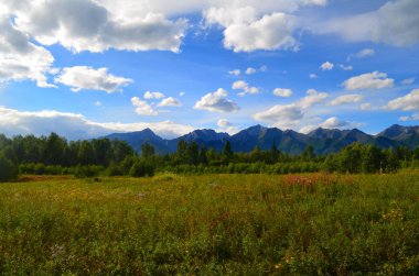 Sert ve görkemli Sayan Dağları.