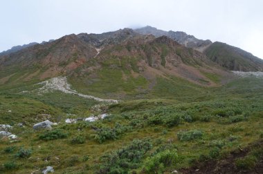 Sert ve görkemli Sayan Dağları.