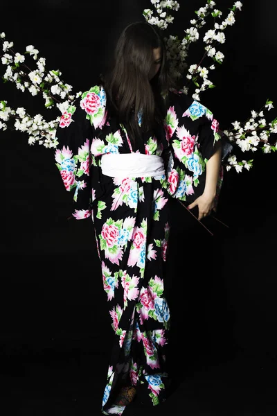 Ιαπωνικά κορίτσι στο παραδοσιακό ιαπωνικό κιμονό, κατέχει κλωνάρια ch — Φωτογραφία Αρχείου