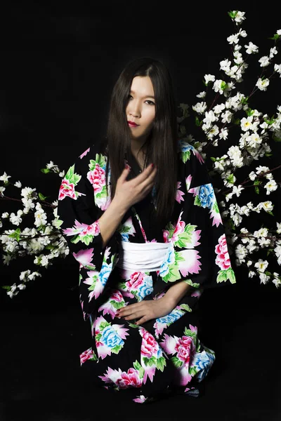 Japanese girl in traditional Japanese kimono, holds sprigs of ch — Stock Photo, Image