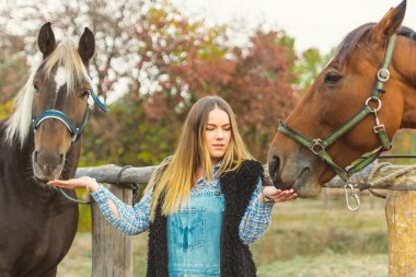 Güzel kız onun atların dikkat çekici. Kız üzerinde odaklanın. Sıcak resim sesi. Yumuşak odak