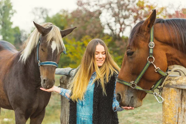 Beautiful girl taking care of her horses. Focus on girl. Warm image tone. Soft focus — Stock Photo, Image