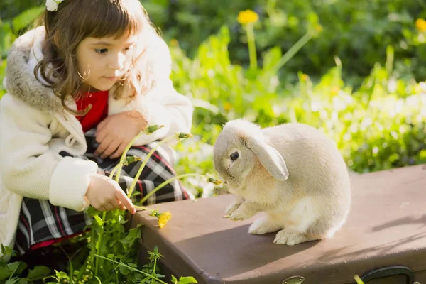 Menina bonita com um coelho na floresta — Fotografia de Stock