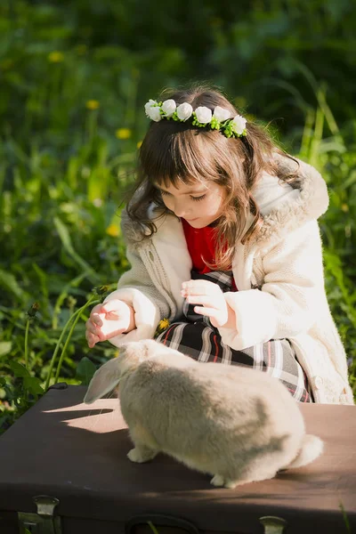 Όμορφο κορίτσι με ένα κουνέλι στο δάσος — Φωτογραφία Αρχείου