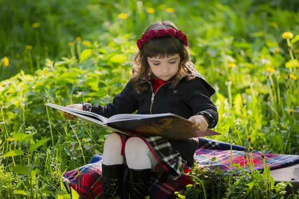 Carina ragazza seduta su una valigia nell'erba e leggere un libro nel parco al tramonto — Foto Stock