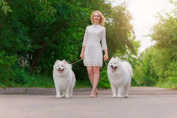 Güzel sarışın kız elbise yaz bahçesinde iki beyaz tüylü köpek ile yürüme