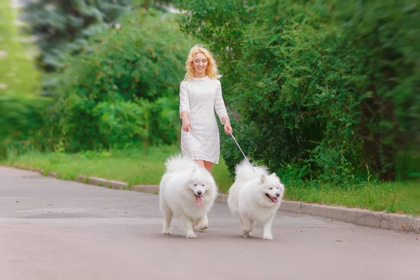 Güzel sarışın kız elbise yaz bahçesinde iki beyaz tüylü köpek ile yürüme