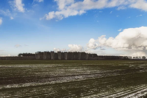 Prachtig uitzicht over een besneeuwd veld met gele gras tegen een achtergrond van herfst bos, blauwe hemel met witte wolken — Stockfoto