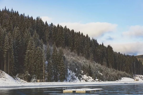 Winterwald und ein See am frühen Morgen lizenzfreie Stockbilder