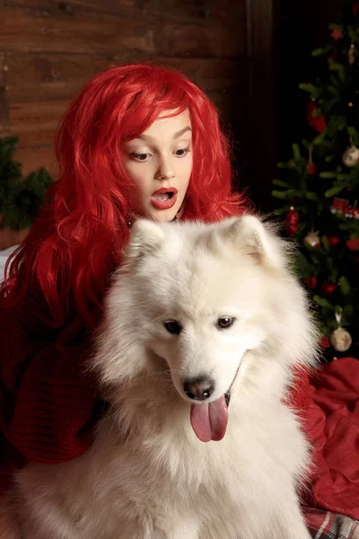 Σκύλος χειμερινές διακοπές και τα Χριστούγεννα. Ένα κορίτσι σε ένα πλεκτό πουλόβερ και με τα κόκκινα μαλλιά με ένα κατοικίδιο ζώο στο στούντιο. Χριστούγεννα γυναίκα με ένα όμορφο πρόσωπο και το κατοικίδιο ζώο σας. — Φωτογραφία Αρχείου