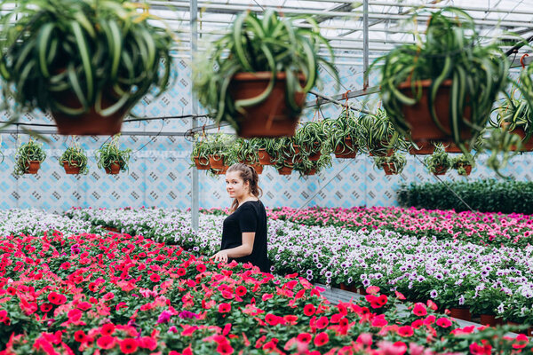 Young Beautiful Long Haired Girl Greenhouse Colorful Flowers Petunias Spring Royalty Free Stock Photos