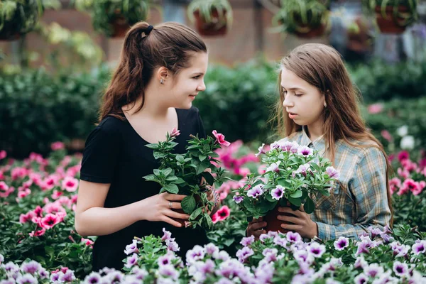 Duas Belas Meninas Eslovenas Uma Estufa Discutindo Mudas Flores Coloridas — Fotografia de Stock