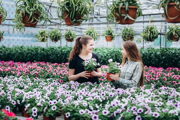 Due Belle Ragazze Slovene Una Serra Discutono Piantine Fiori Colorati Immagine Stock