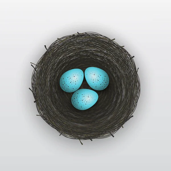 Bird Nest with Blue Eggs — Stock Vector