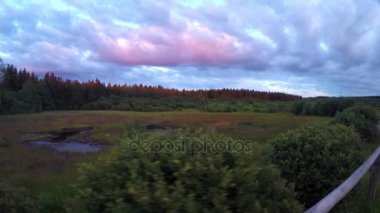 Akşam walk bir doğa rezerv (yüksek MDBF Eifel doğa parkı, Belçika).