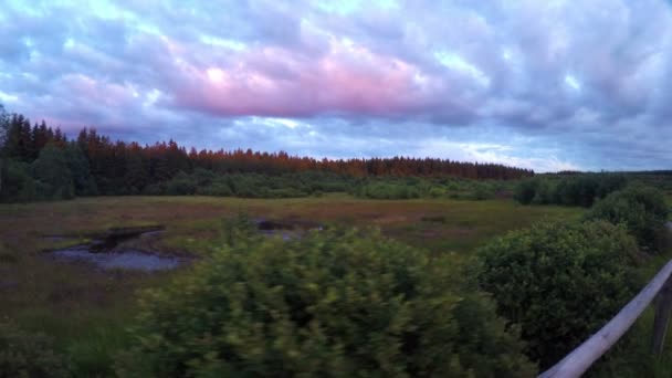 Abendwanderung Naturpark Hochmoor Eifel Belgien — Stockvideo