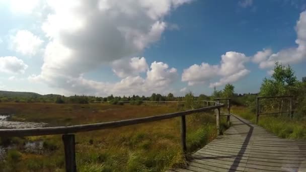 Πόδια Ένα Φυσικό Καταφύγιο Υψηλή Fens Φυσικού Πάρκου Eifel Βέλγιο — Αρχείο Βίντεο